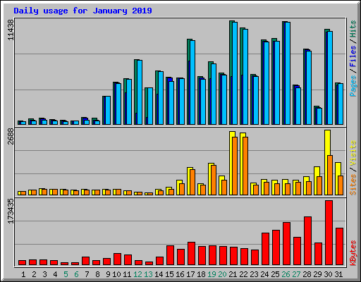 Daily usage for January 2019