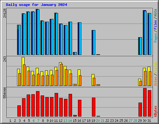 Daily usage for January 2024