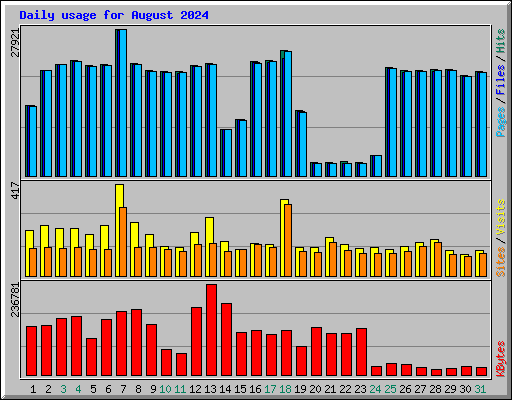 Daily usage for August 2024