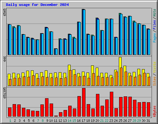 Daily usage for December 2024