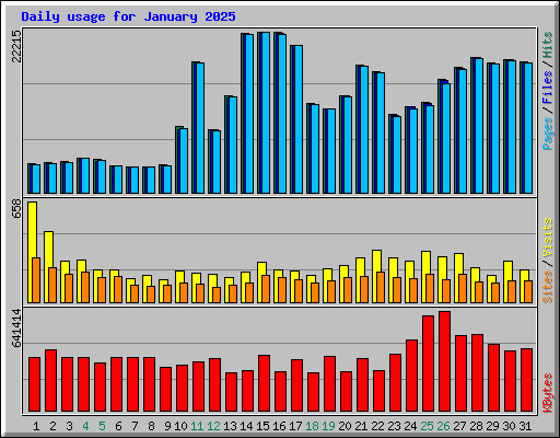 Daily usage for January 2025