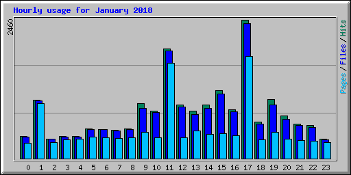 Hourly usage for January 2018