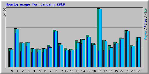 Hourly usage for January 2019