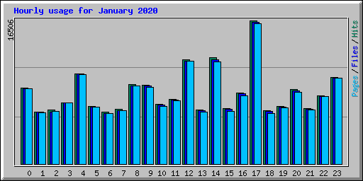 Hourly usage for January 2020