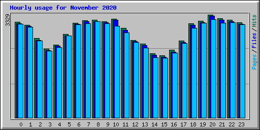 Hourly usage for November 2020