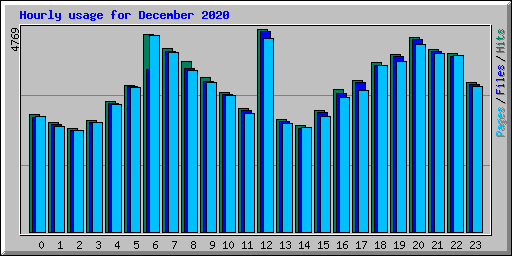 Hourly usage for December 2020