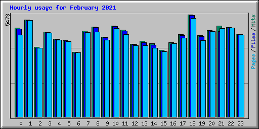 Hourly usage for February 2021