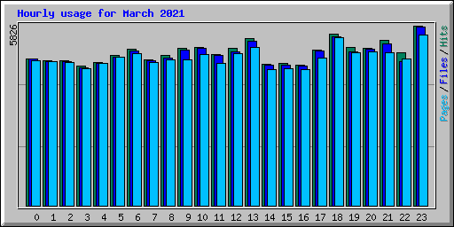 Hourly usage for March 2021