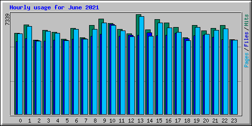 Hourly usage for June 2021