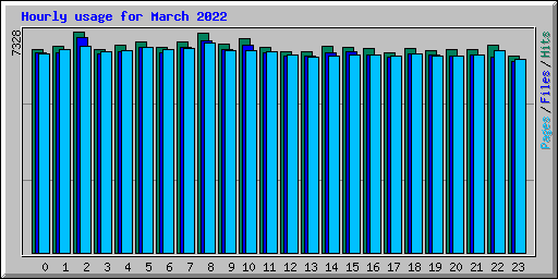 Hourly usage for March 2022