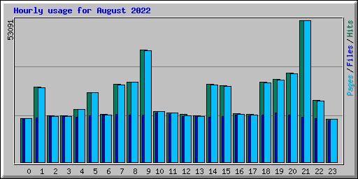 Hourly usage for August 2022
