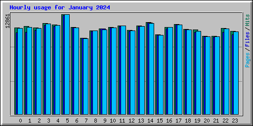 Hourly usage for January 2024