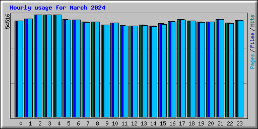 Hourly usage for March 2024
