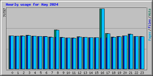 Hourly usage for May 2024