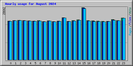 Hourly usage for August 2024