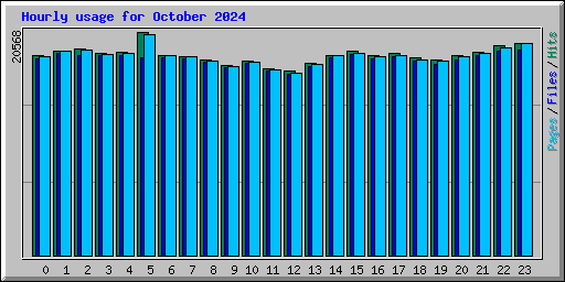 Hourly usage for October 2024