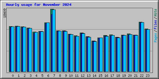 Hourly usage for November 2024