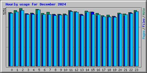 Hourly usage for December 2024