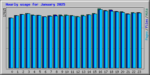 Hourly usage for January 2025