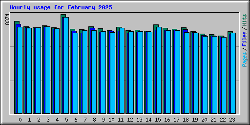 Hourly usage for February 2025
