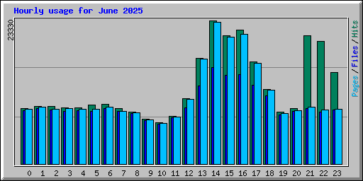 Hourly usage for June 2025