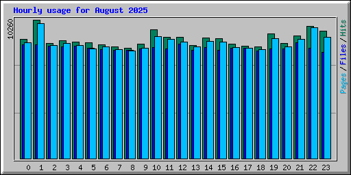 Hourly usage for August 2025