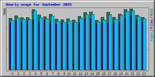 Hourly usage for September 2025