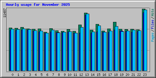 Hourly usage for November 2025