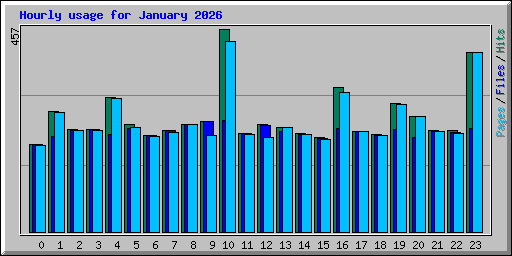 Hourly usage for January 2026